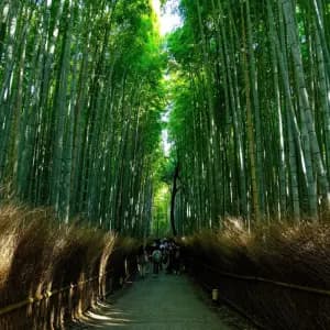 מקדש הזהב ואראשיאמה