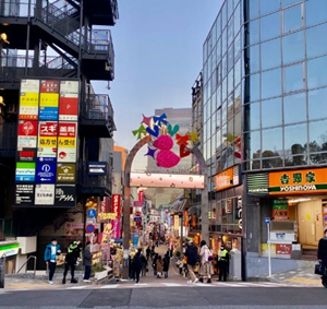 הראג'וקו ואודיבה